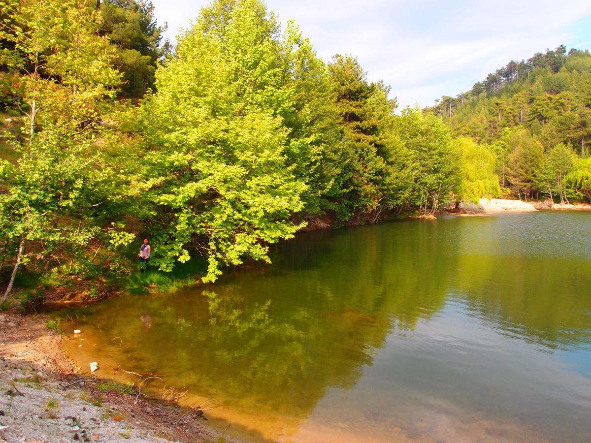 Agyra Villa Limenaria  Dış mekan fotoğraf